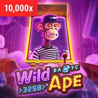Các phương thức thanh toán 333win