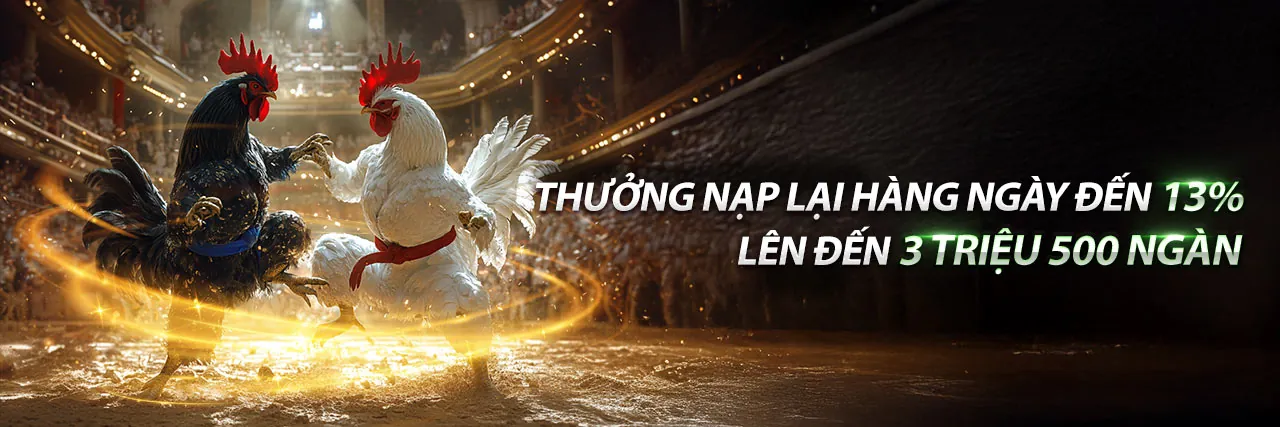 Đá gà trực tuyến 333win với khuyến mãi hấp dẫn