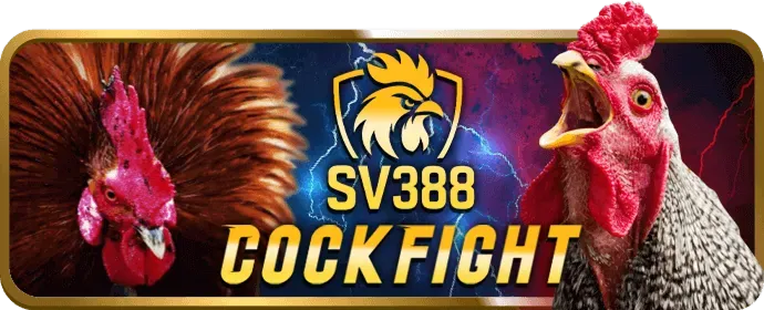 Cập Nhật Cá Cược Thể Thao 333win Khuyến Mãi